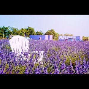 Meet your Posher, Aly